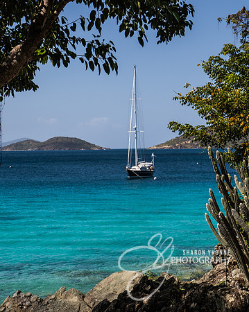 Turquoise Waters