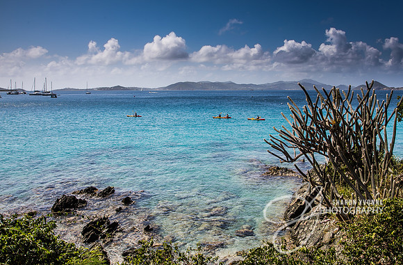 Caribbean Tranquility