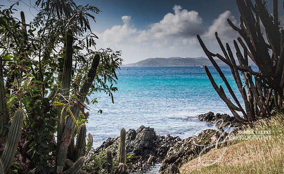 Shades of Blue