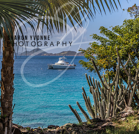 Caneel Bay-St. John's USVI